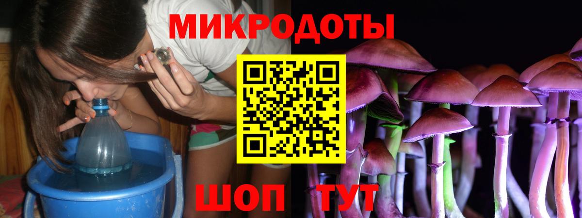 где можно купить   Псилоцибиновые грибы Magic Shrooms  Вход с VPN  Псилоцибиновые грибы мицелий  Куйбышев 